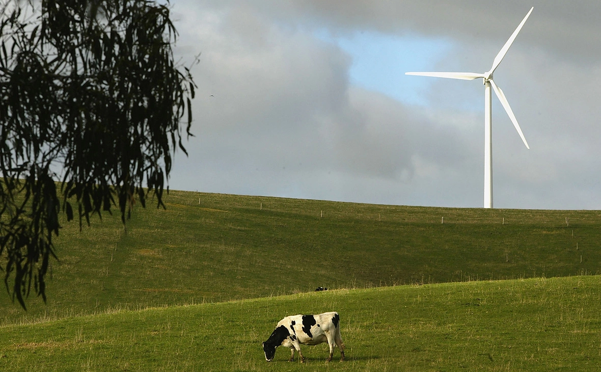 Robert Cianflone / Getty Images