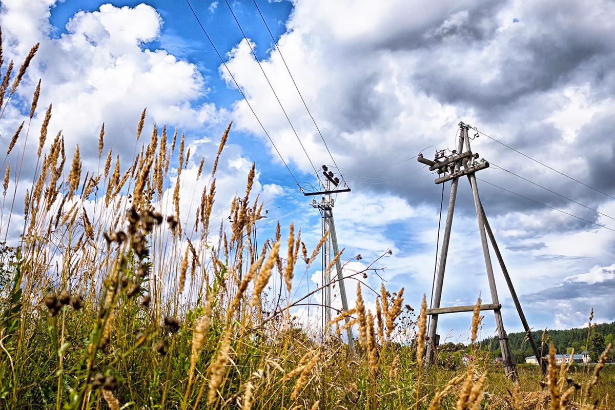 Фото: KELENY / Shutterstock / FOTODOM