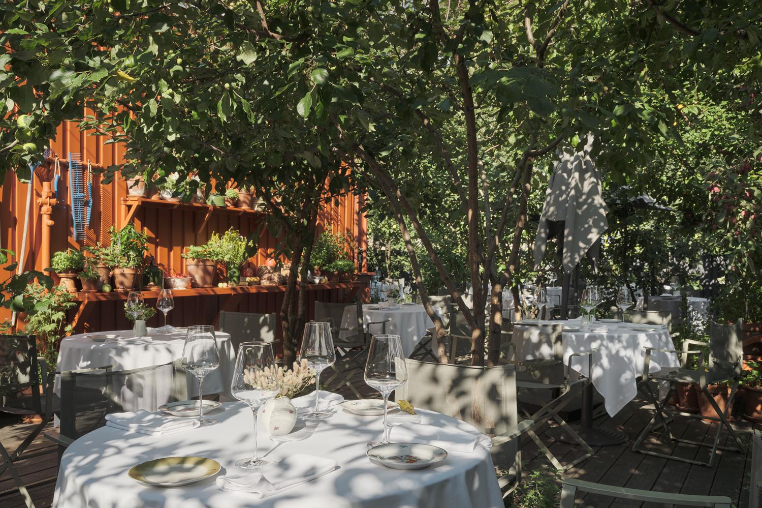 Интерьер ресторана «Сад»