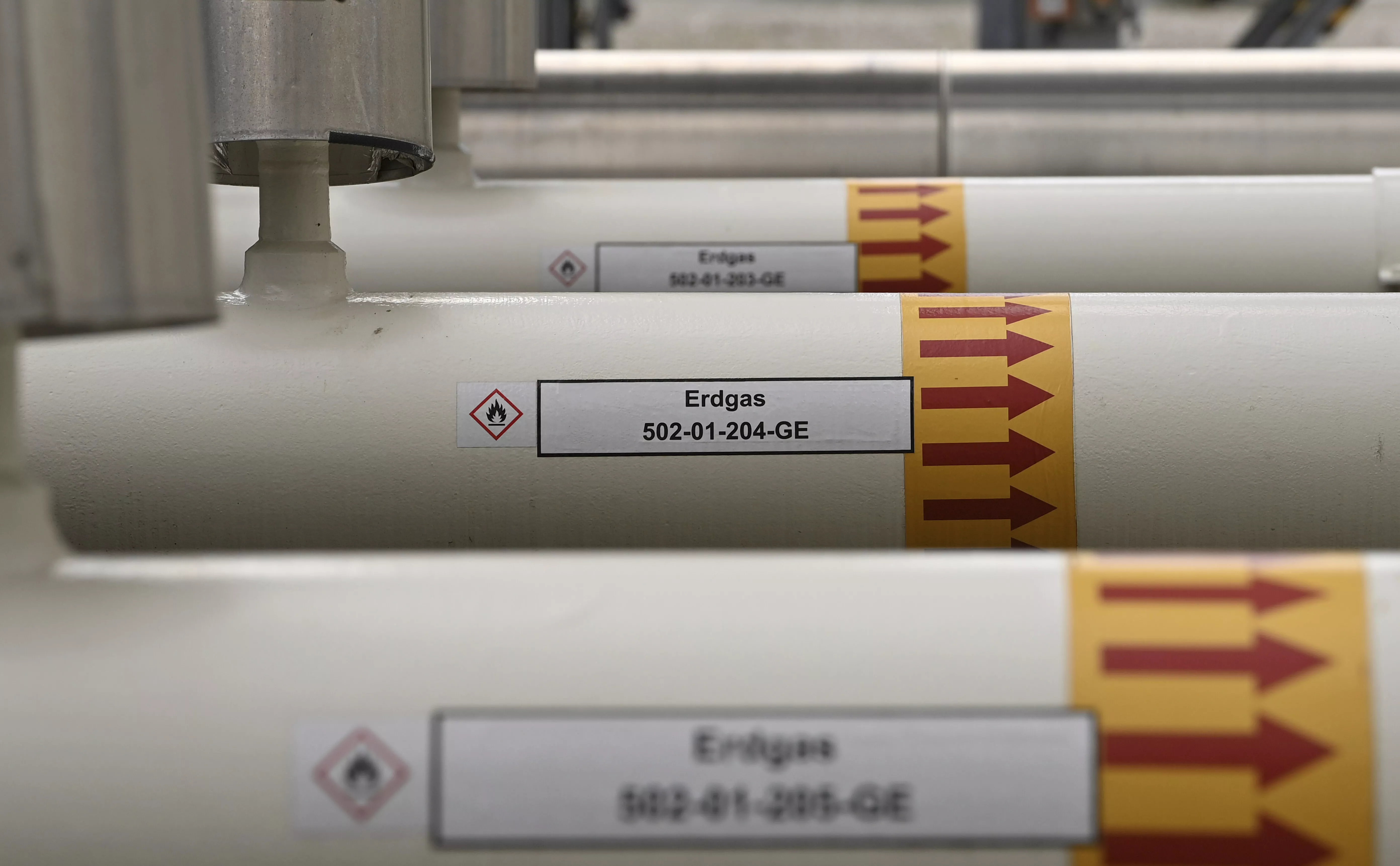 Sven Simon / picture alliance / ТАСС 