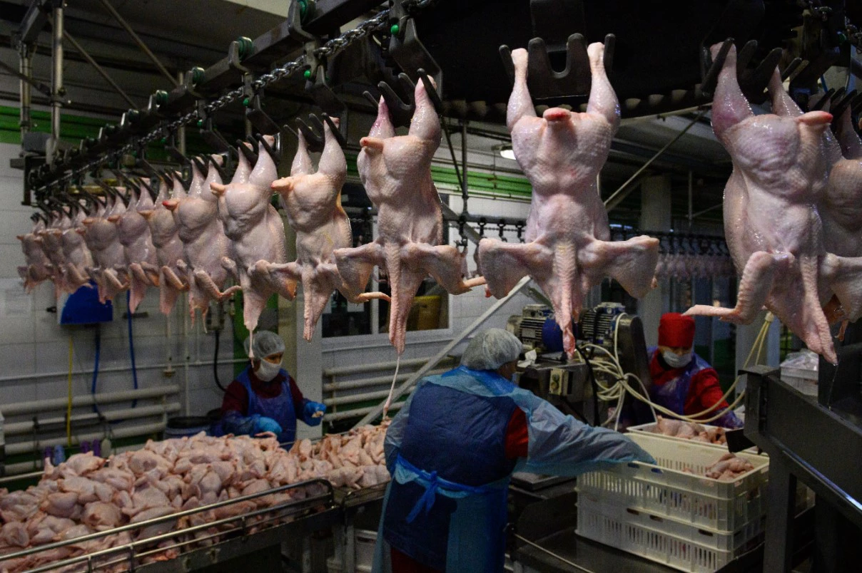 Владимир Жабриков / URA.RU