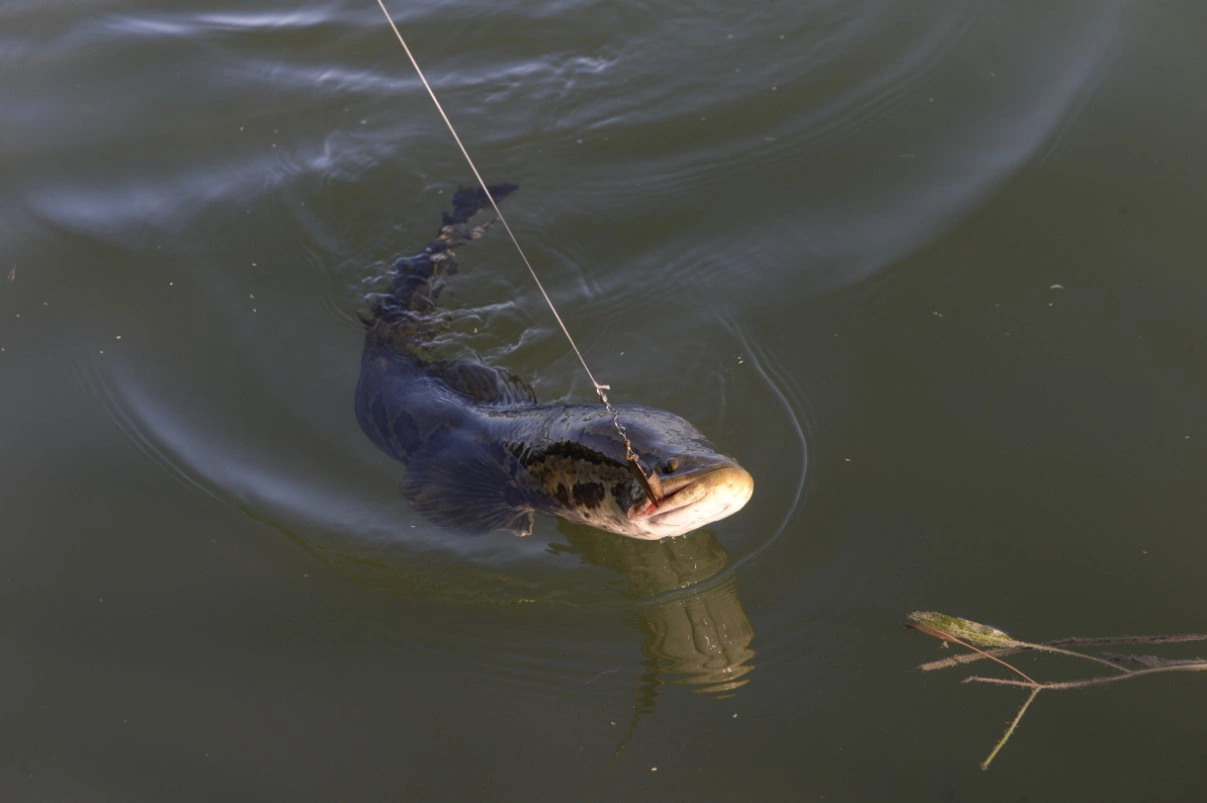 Сергей Русанов / URA.RU