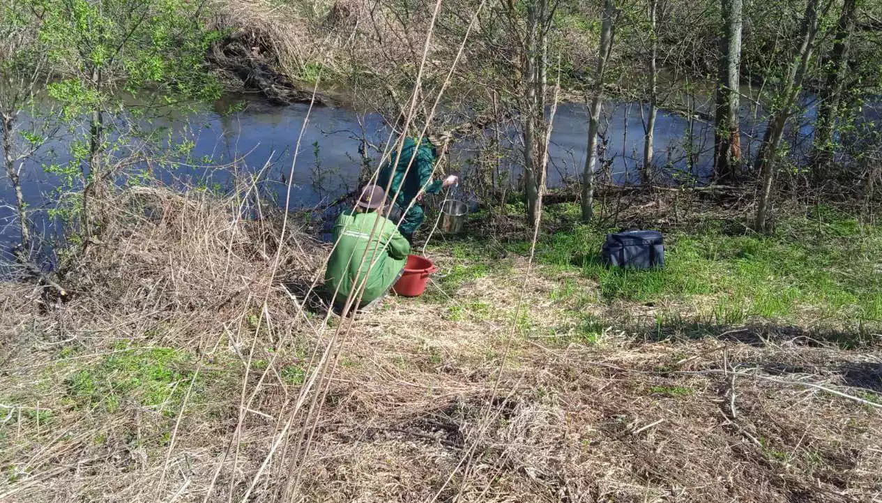 Управление Росприроднадзора по Нижегородской области и Республике Мордовия