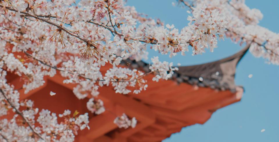 Фото: Xianyu hao / Unsplash