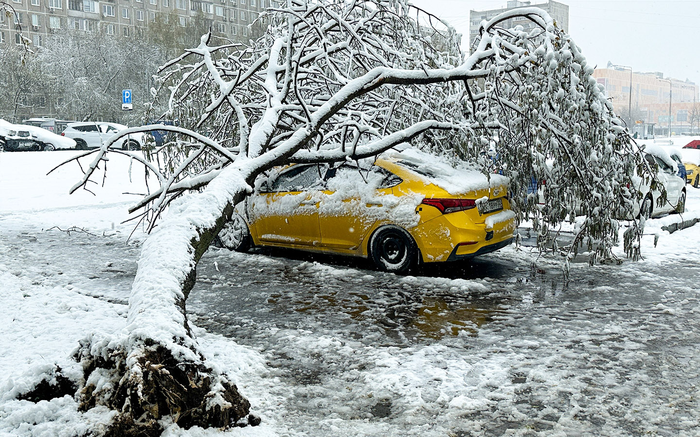Фото: Мобильный репортер / Агентство «Москва»