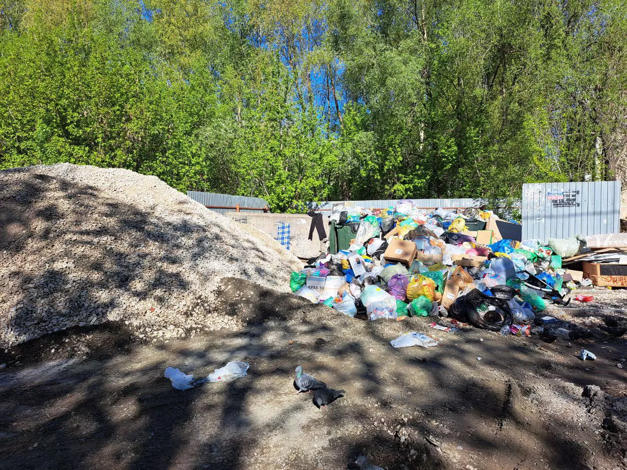 РБК Татарстан