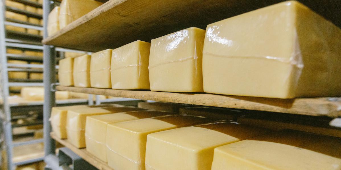 Сыр, пир и СТМ: как в Татарстане делают сыр для крупного ретейла