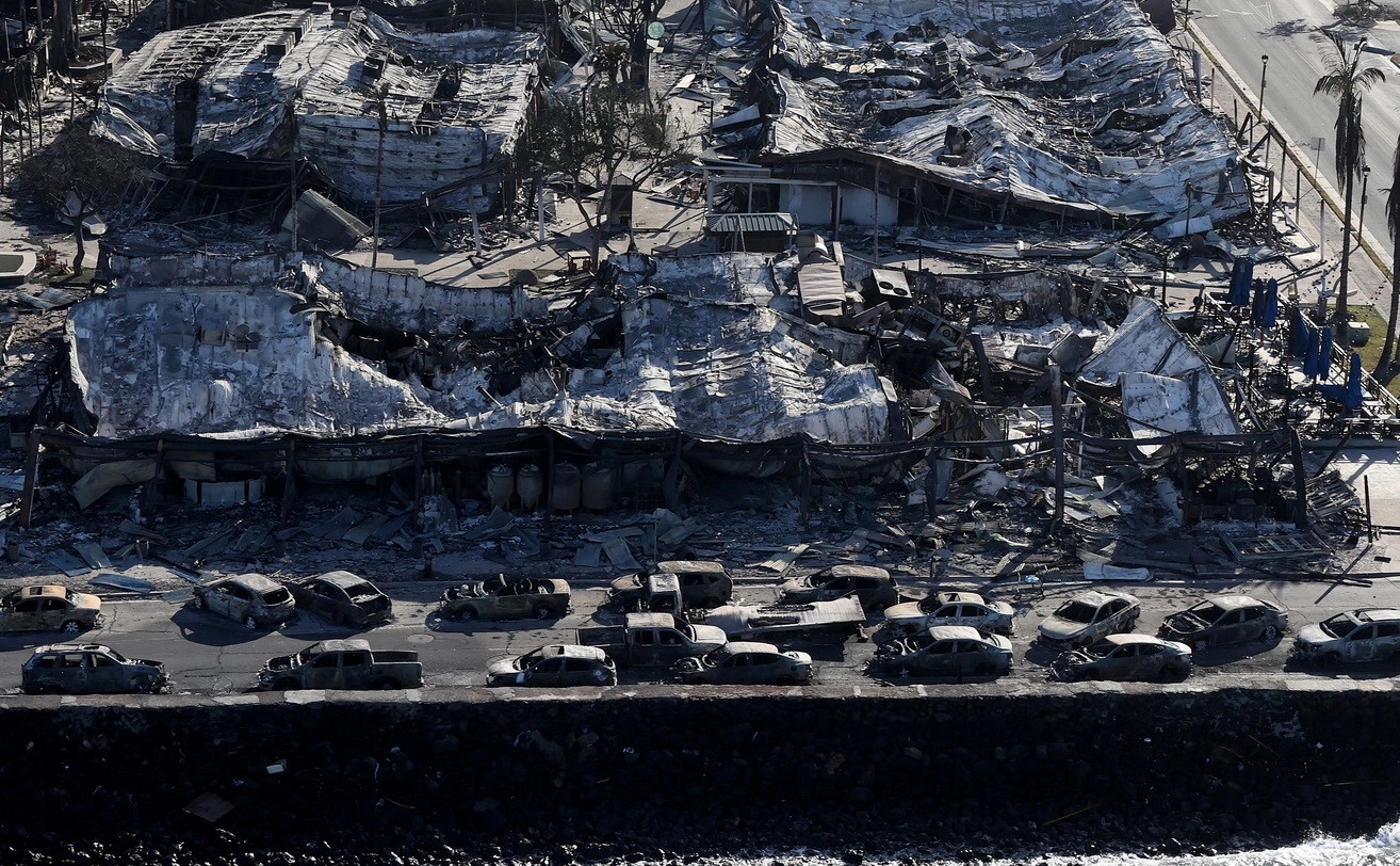 Justin Sullivan / Getty Images