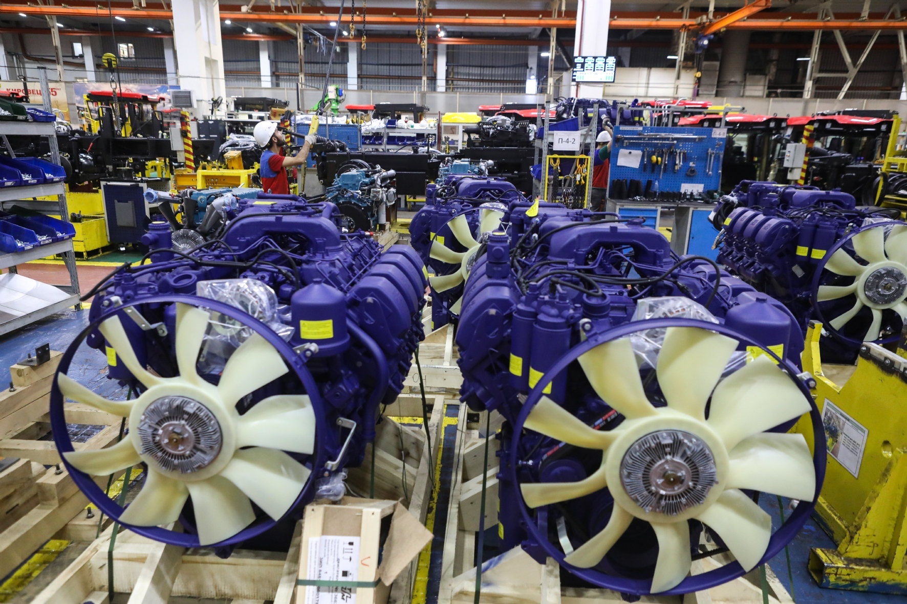 Фото: Пименов Роман/PhotoXPress.ru