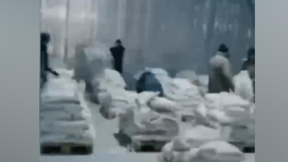 В Алма-Ате изъяли партию кокаина весом в двух слонов и слоненка