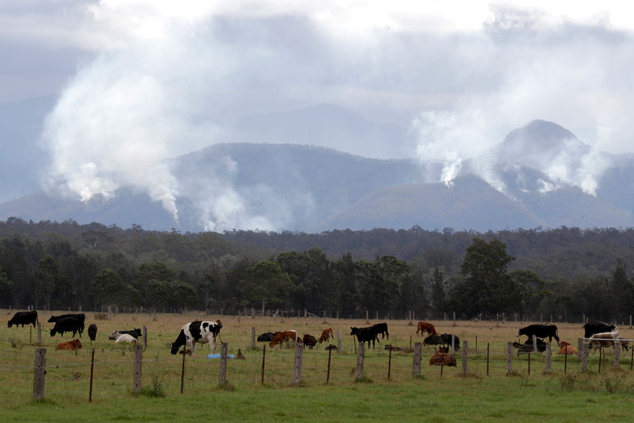 Пожары больше всего распространились на юго-востоке Австралии, но очаги есть по всему континенту