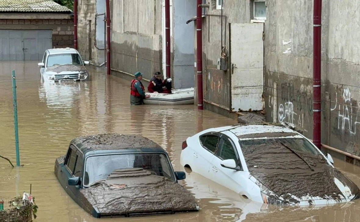 MIAOFARMENIA / Telegram