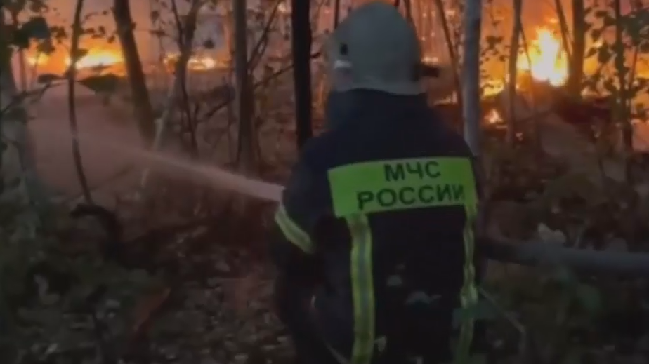 Три дома загорелись из-за природного пожара в Воронежской области