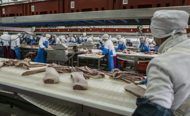 Николай Гингазов / Global Look Press