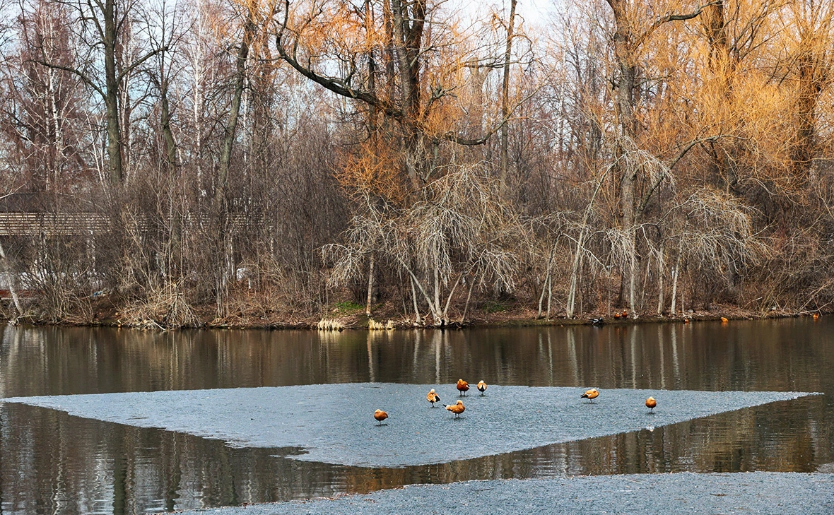 Ярослав Чингаев / АГН «Москва»