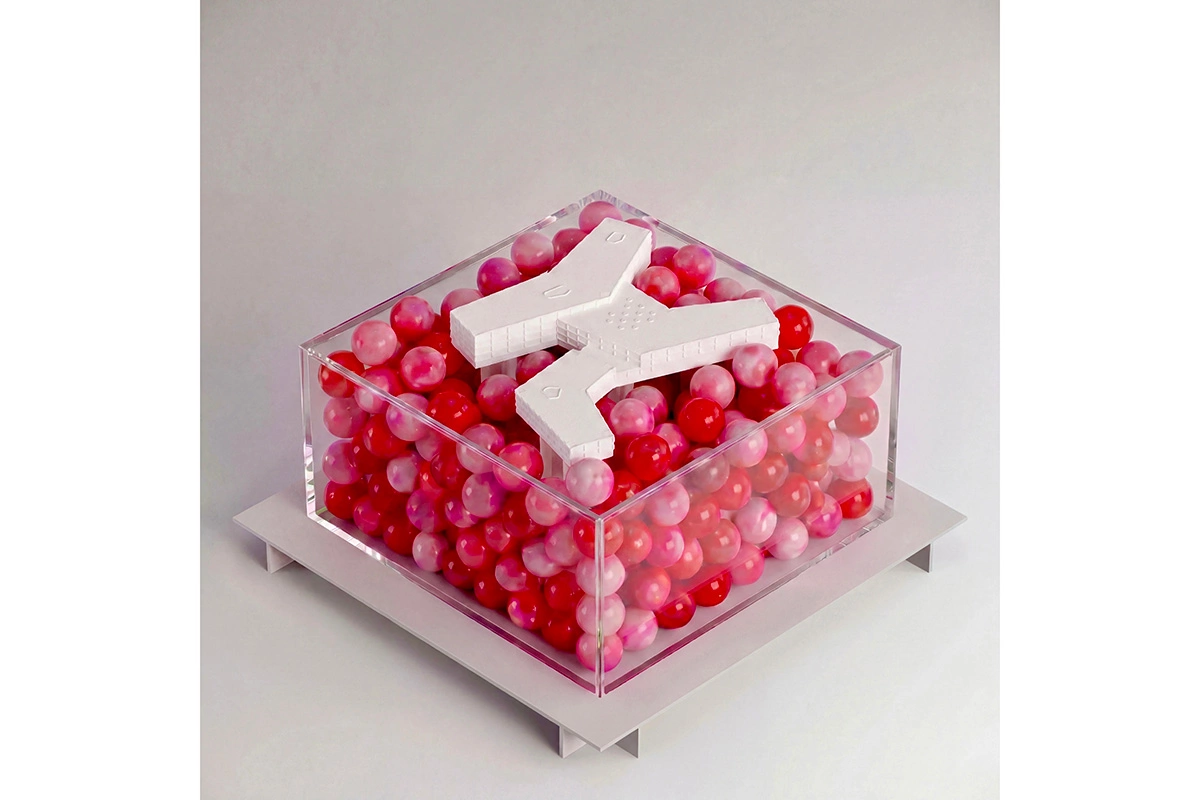 Школа Bubble БЮРО GAFA