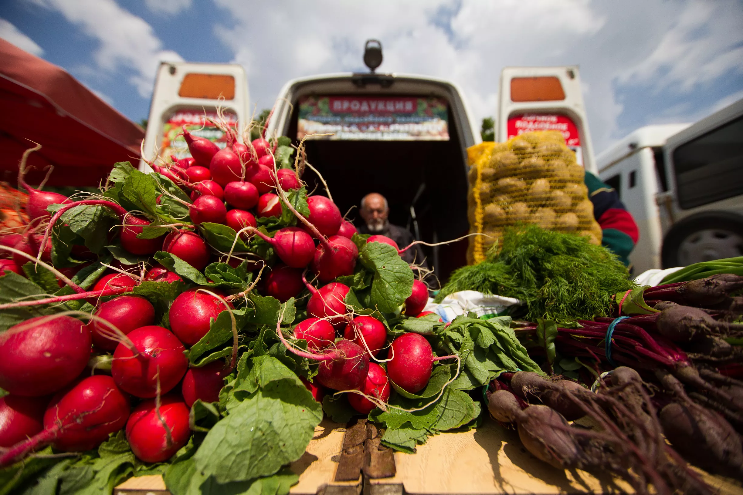 Александр Подгорчук