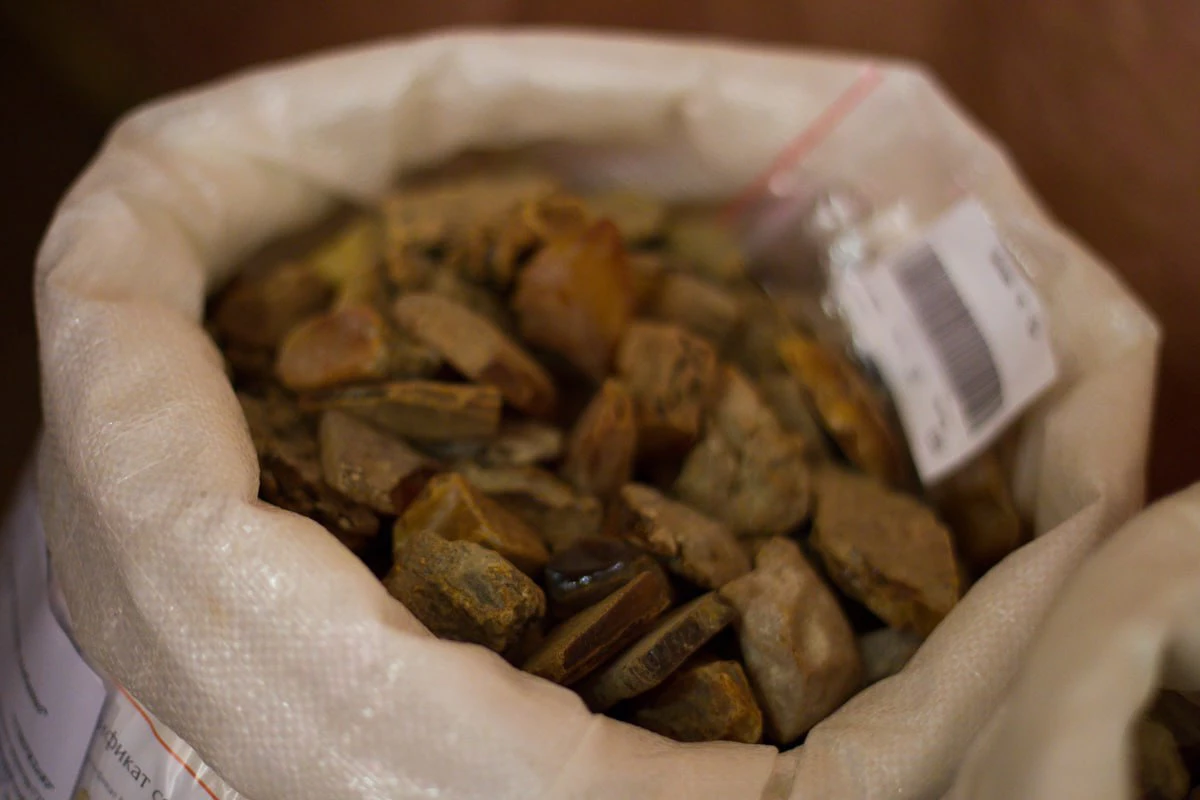 Александр Подгорчук