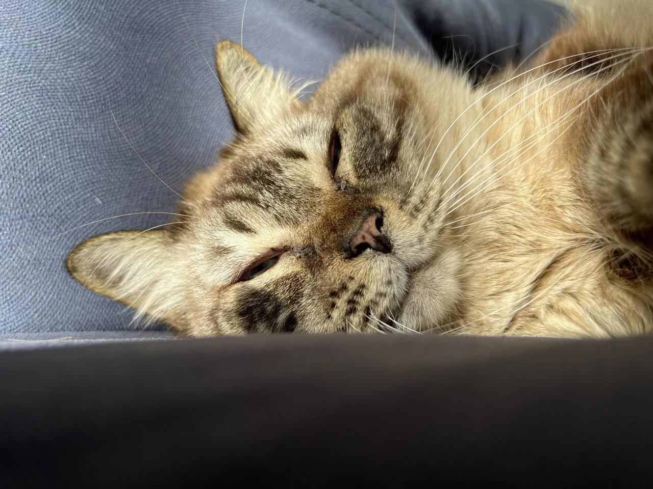 РБК Приморье