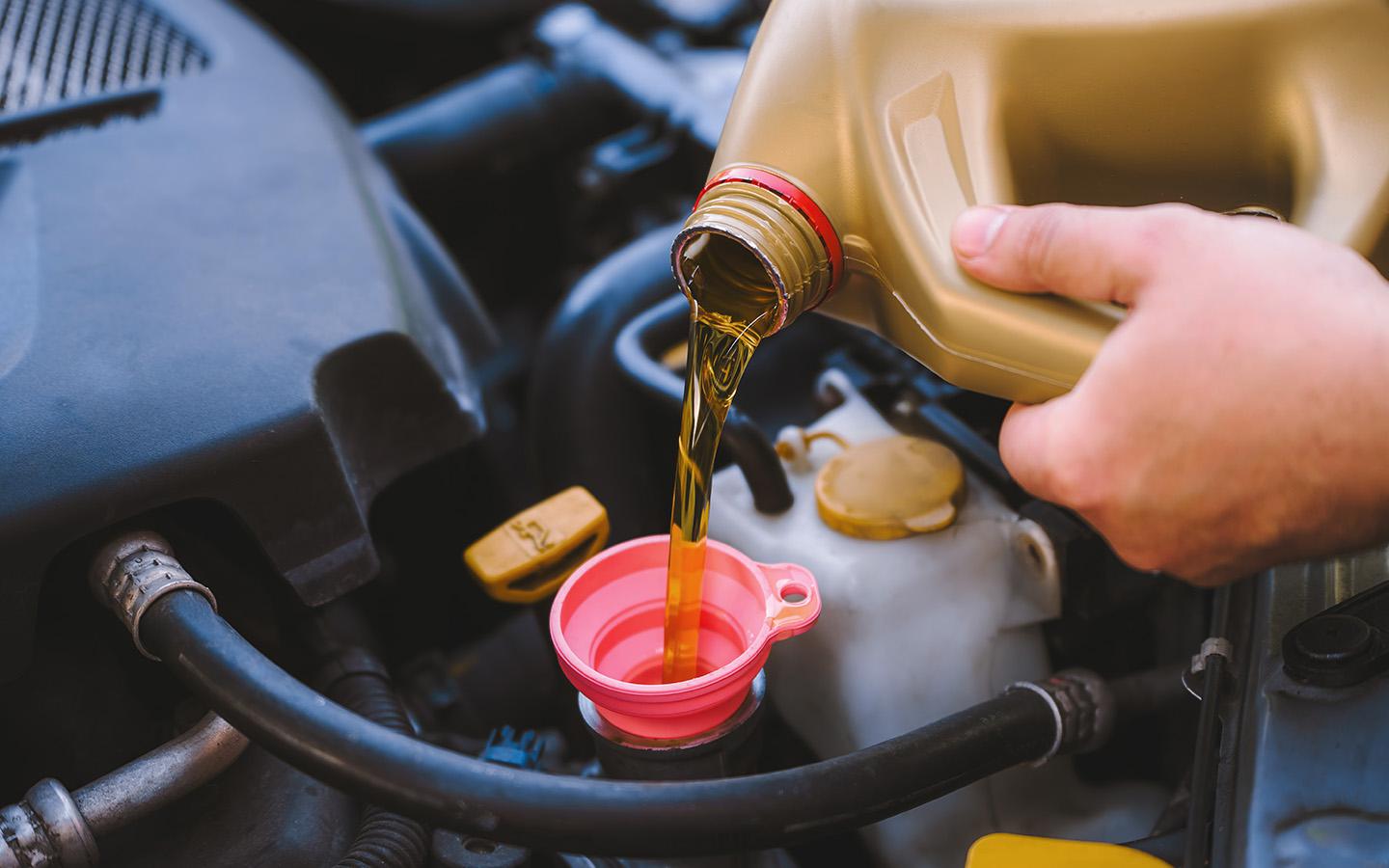 Фото: alexgo.photography / Shutterstock / FOTODOM