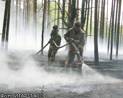 Число лесных пожаров в России за сутки выросло на треть