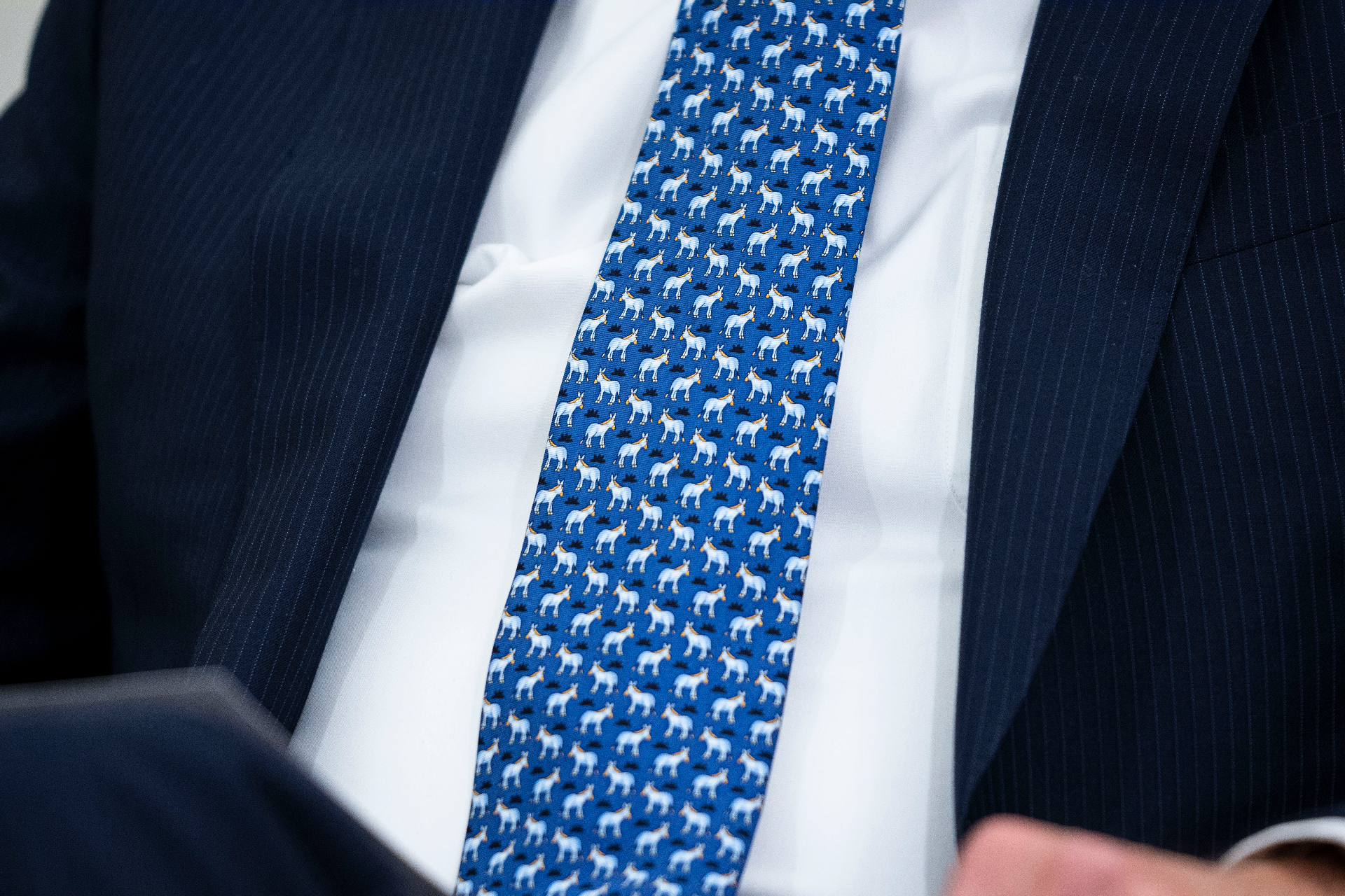 Джо Байден в галстуке с ослами на встрече с президентом Украины Владимиром Зеленским, 2021