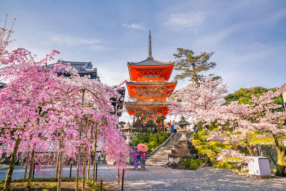 <p>Храм Киёмидзу-дэра в Киото во время цветения сакуры</p>