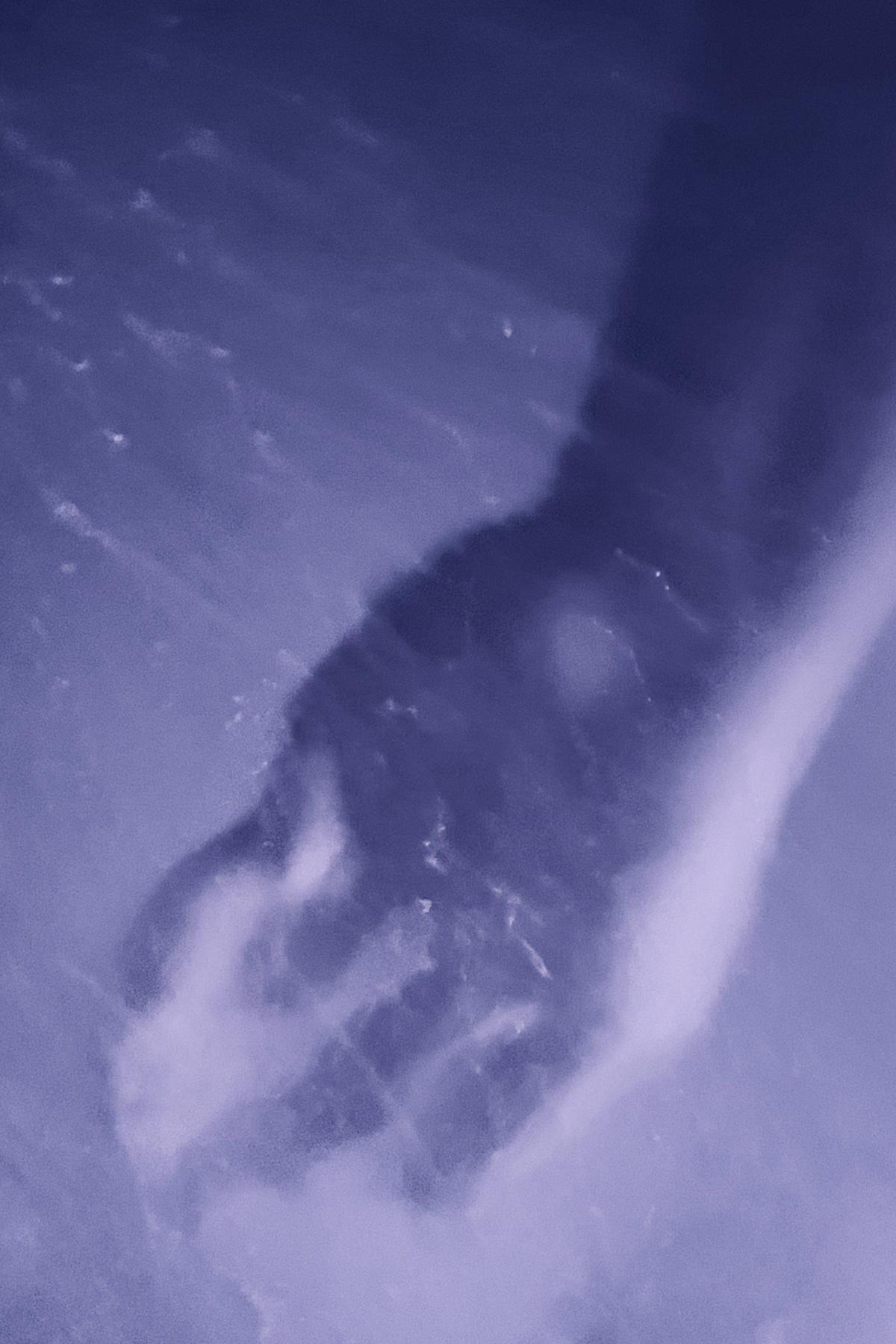 Фото: Arturo Castaneyra / Unsplash