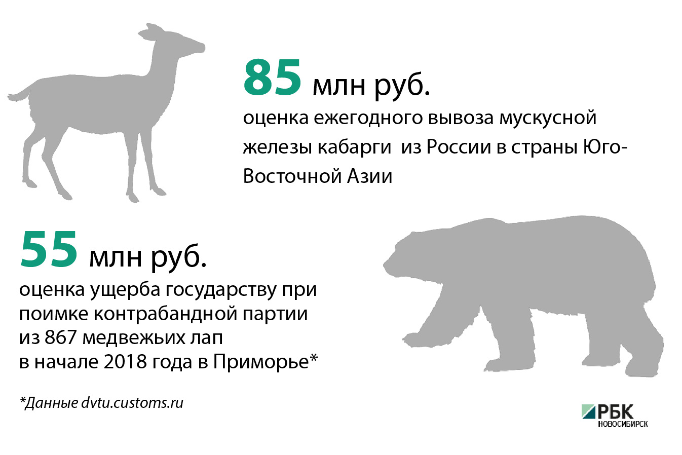 Зверские деньги: как в Новосибирске зарабатывают на браконьерстве