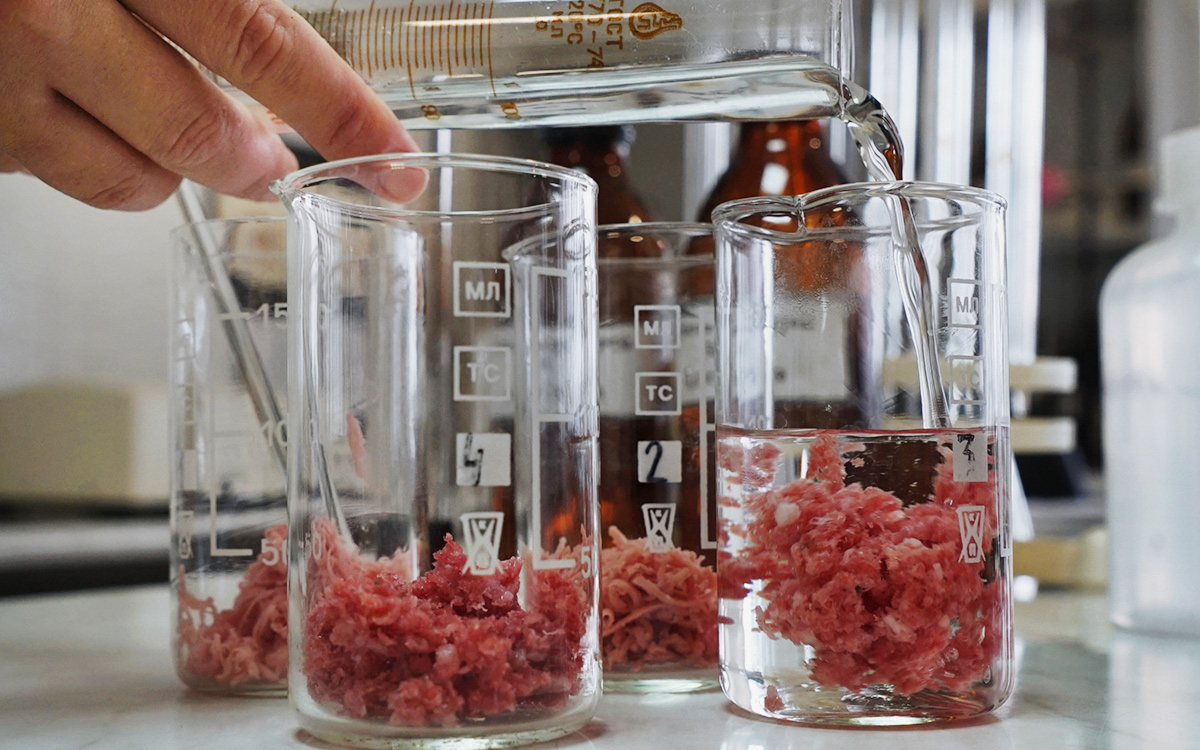 Россияне отказались считать продукты из лаборатории «едой будущего»