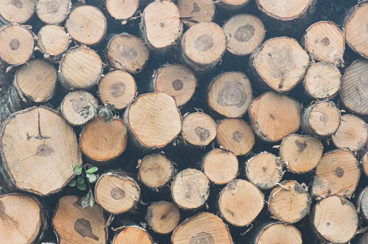 Владимир Жабриков / РИА URA.RU 