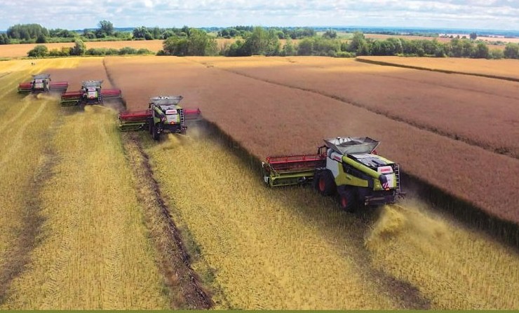 Фото: региональный минсельхоз