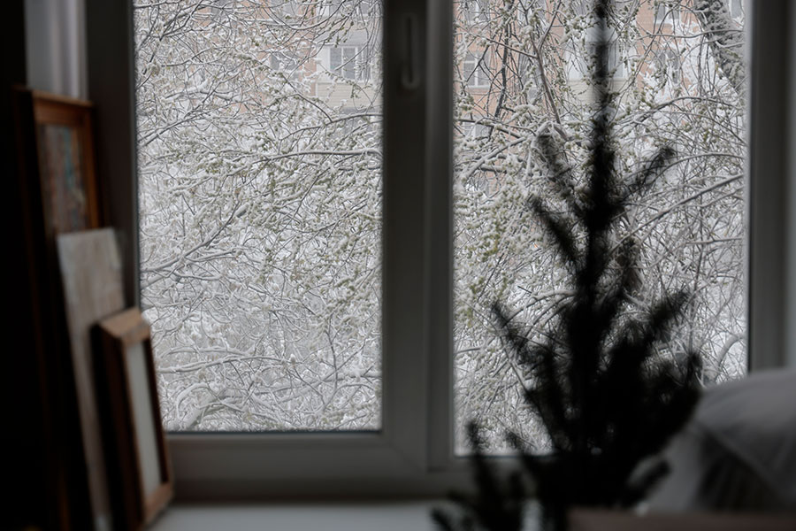 Михаил Гребенщиков / РБК