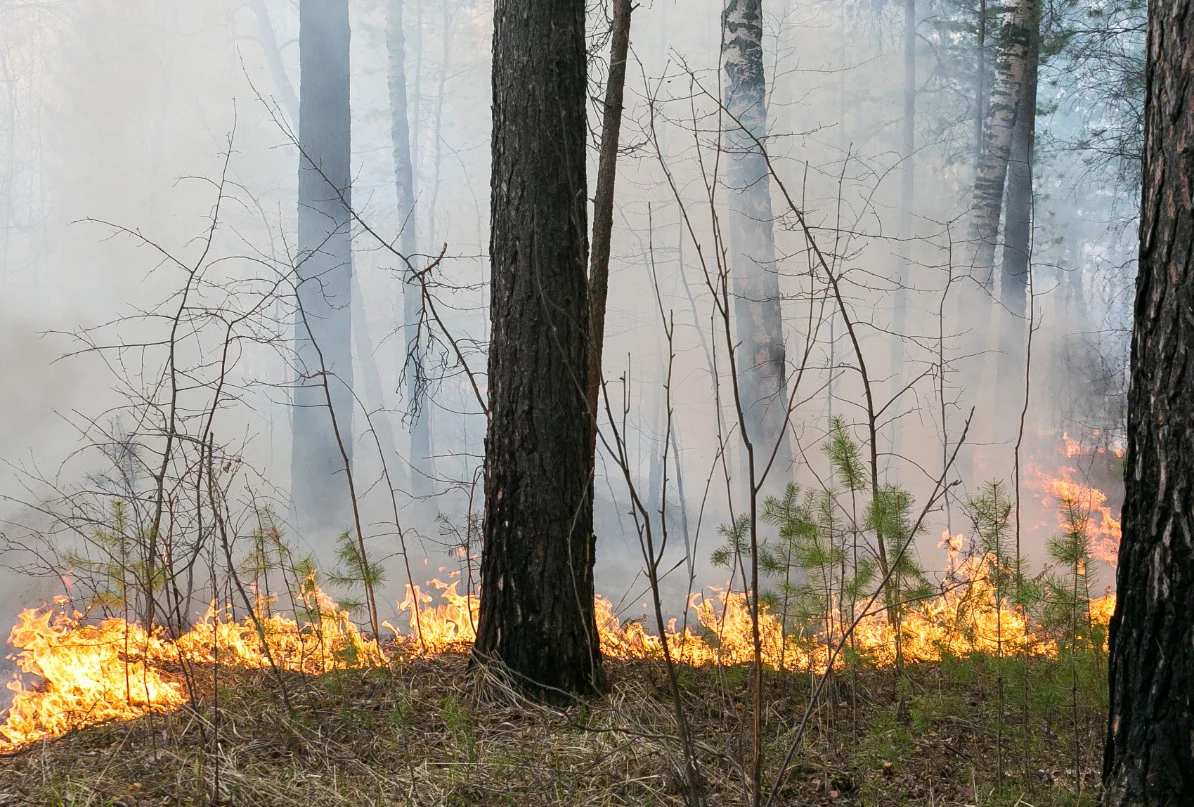 Денис Моргунов / РИА URA.RU
