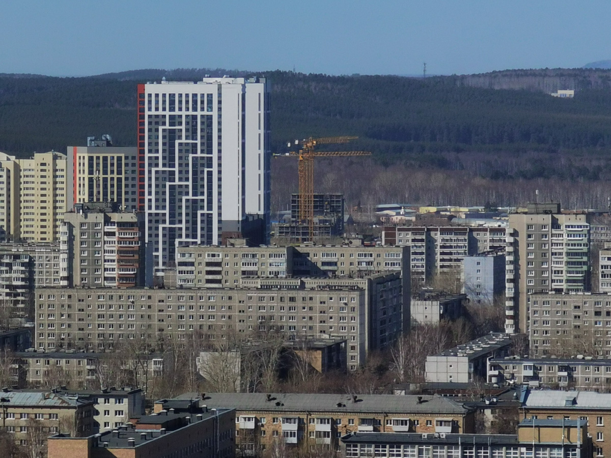 Фото: 66.RU