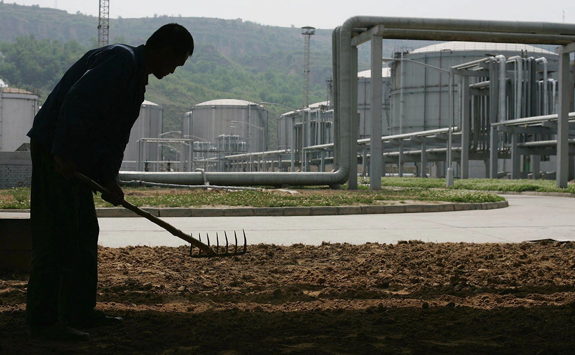 Andrew Wong / Getty Images
