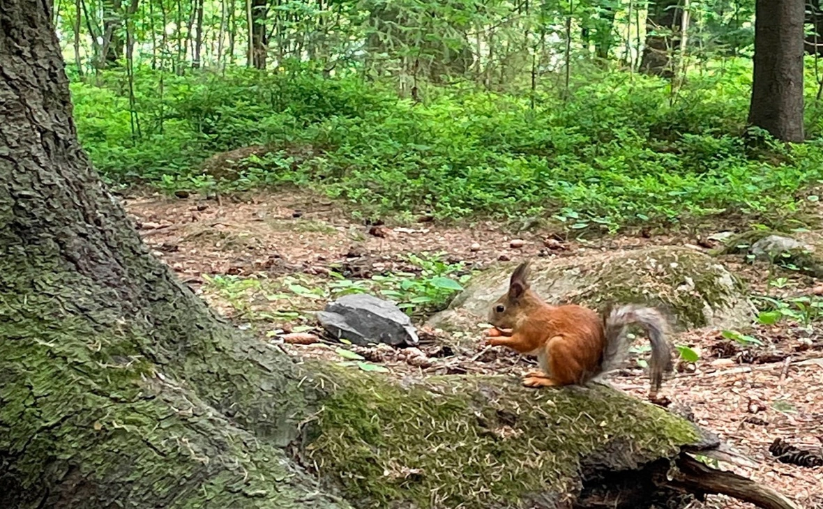 Республика Карелия/ vk.com