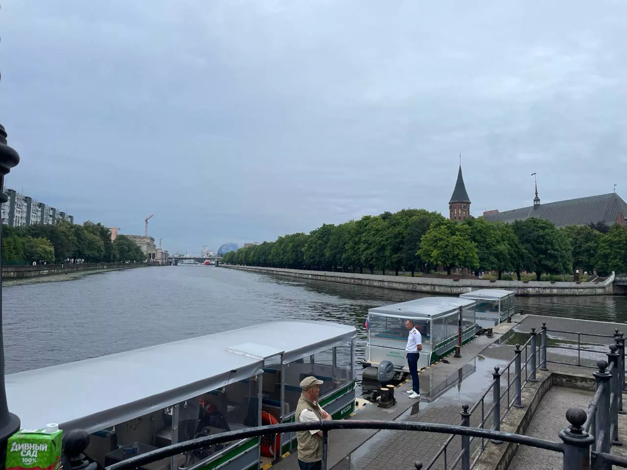 Марина Маркевич