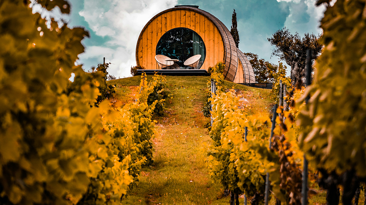 В Думе предложили критерии для строительства отелей на виноградниках