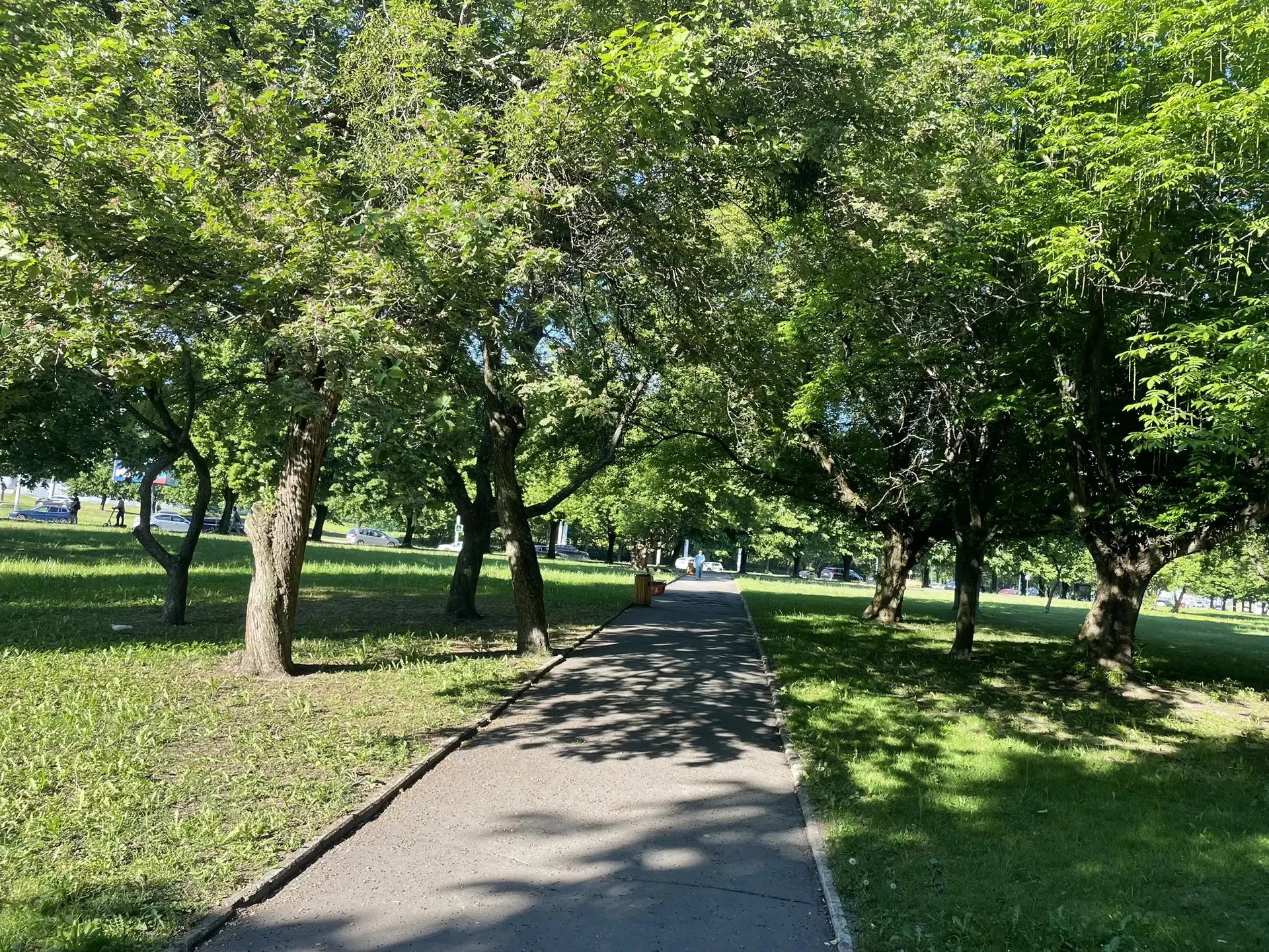 Марина Маркевич
