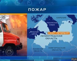 В пожаре в общежитии ГИБДД в Петербурге пострадало 13 человек