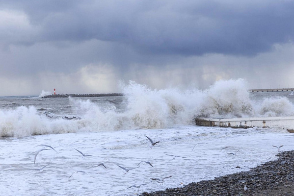 Фото: sochi.ru
