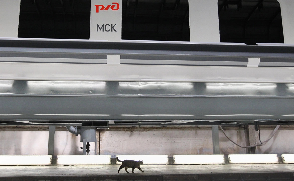 Алексей Куденко / РИА Новости