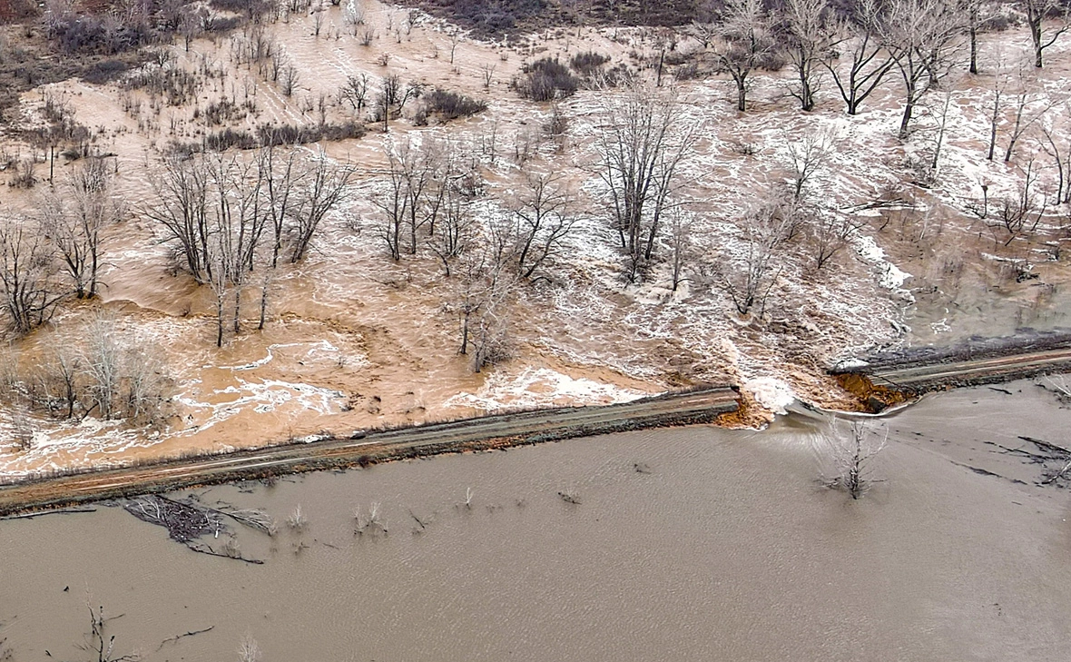 Егор Алеев / ТАСС