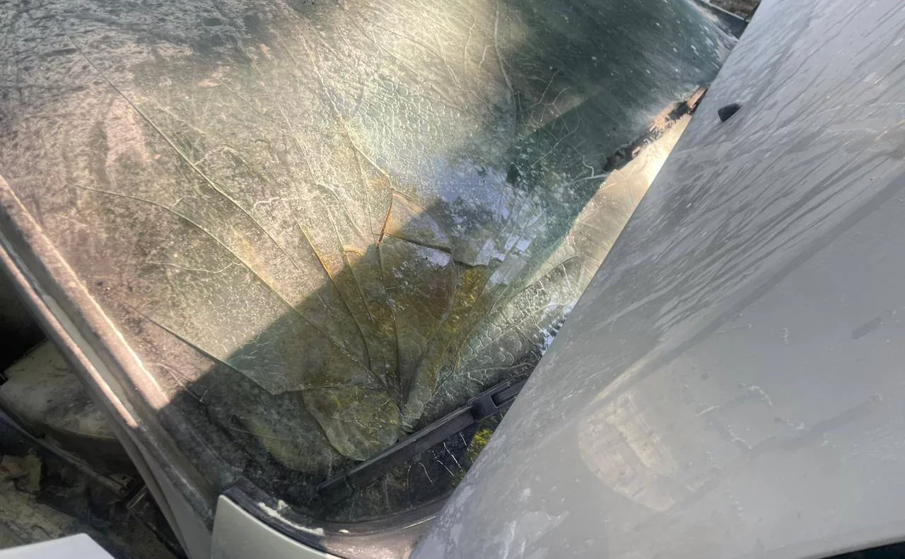 ГСУ СК России по Московской области