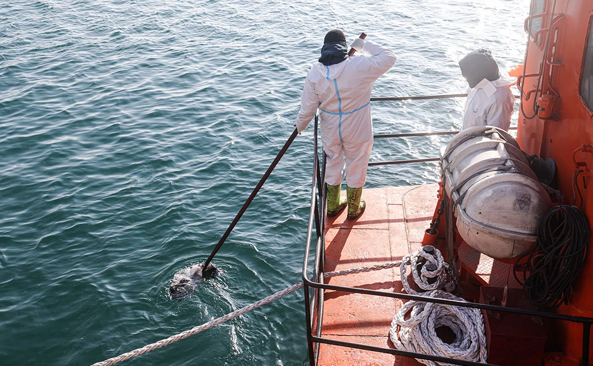 Дмитрий Феоктистов / ТАСС