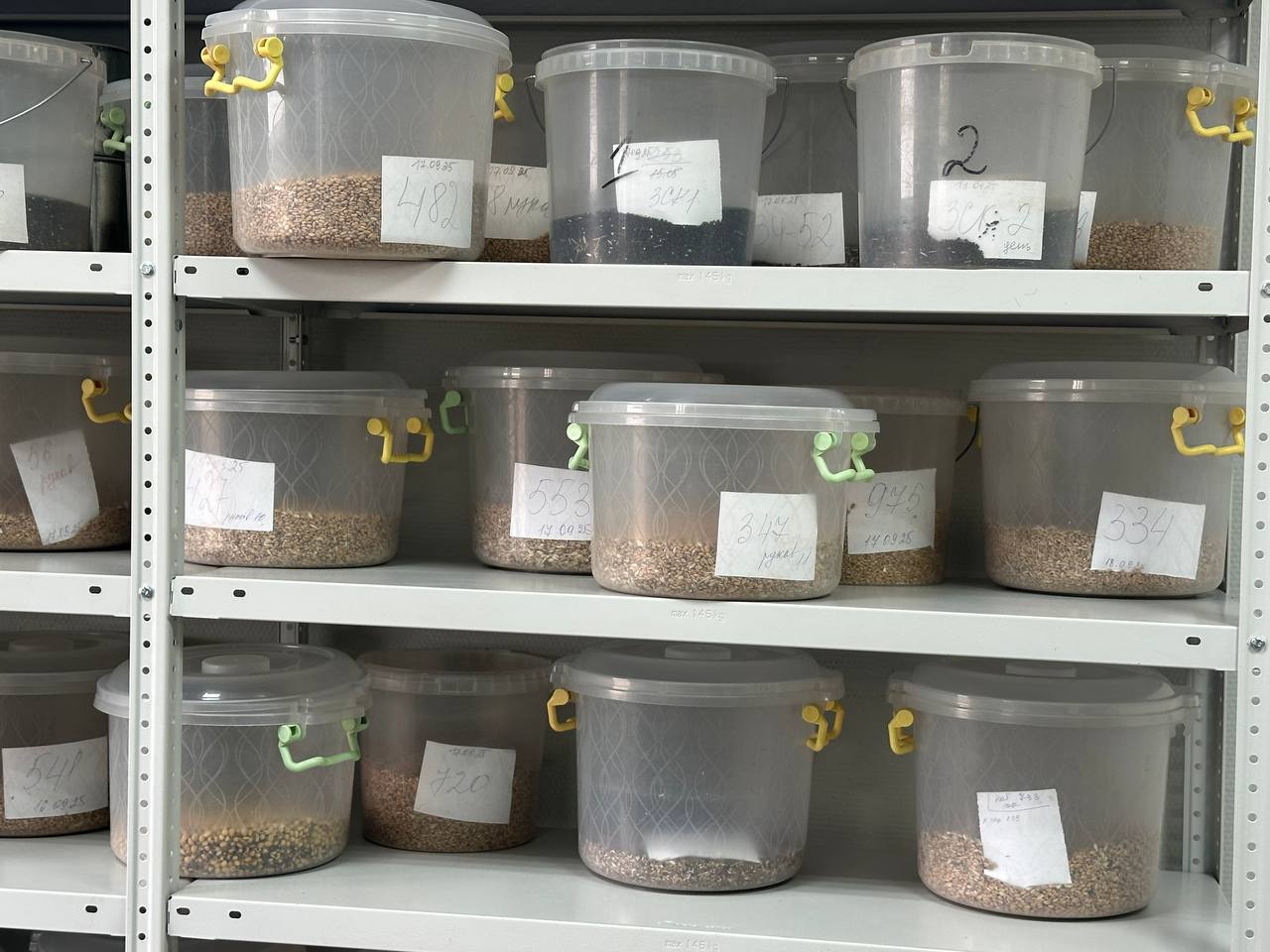 Фото: РБК Татарстан