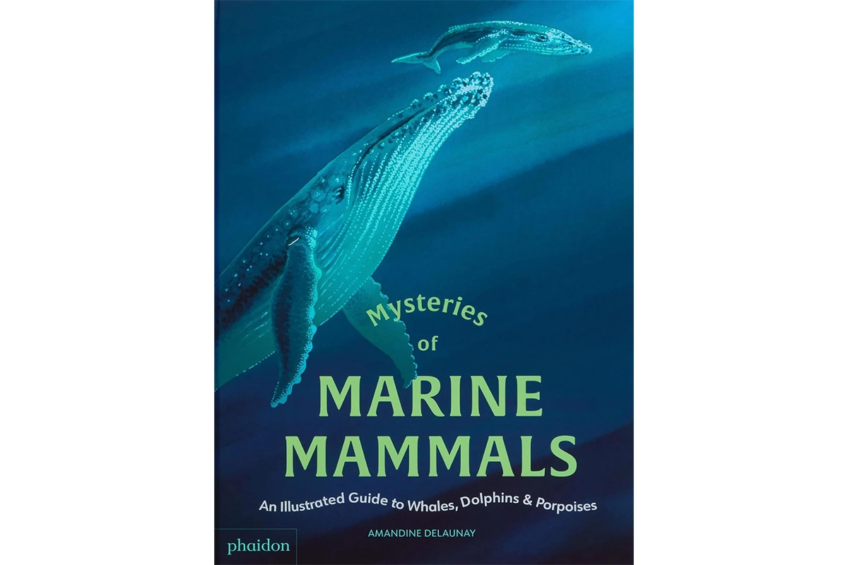 Что почитать в апреле: 6 увлекательных книжных новинок