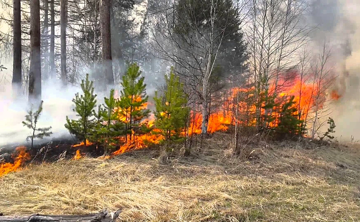 ГУ МЧС по Курганской области