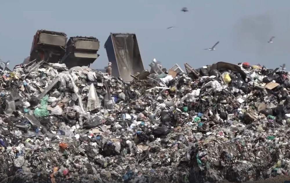 РБК Приморье